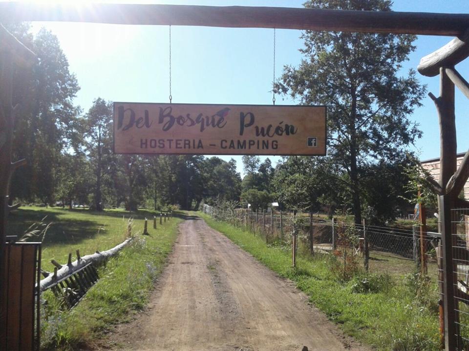 Hosteria Y Camping Del Bosque Pucón Exteriér fotografie