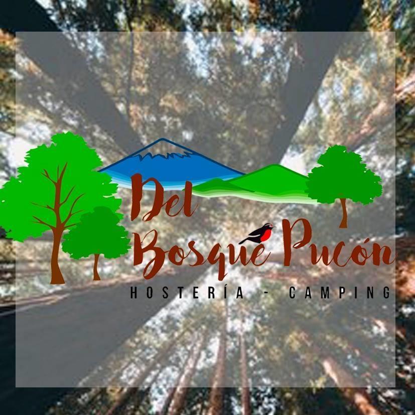 Hosteria Y Camping Del Bosque Pucón Exteriér fotografie
