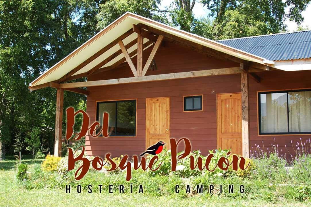 Hosteria Y Camping Del Bosque Pucón Exteriér fotografie