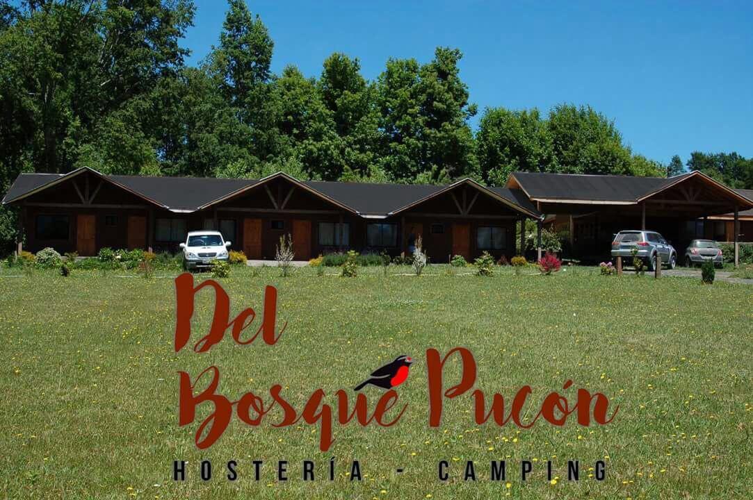 Hosteria Y Camping Del Bosque Pucón Exteriér fotografie