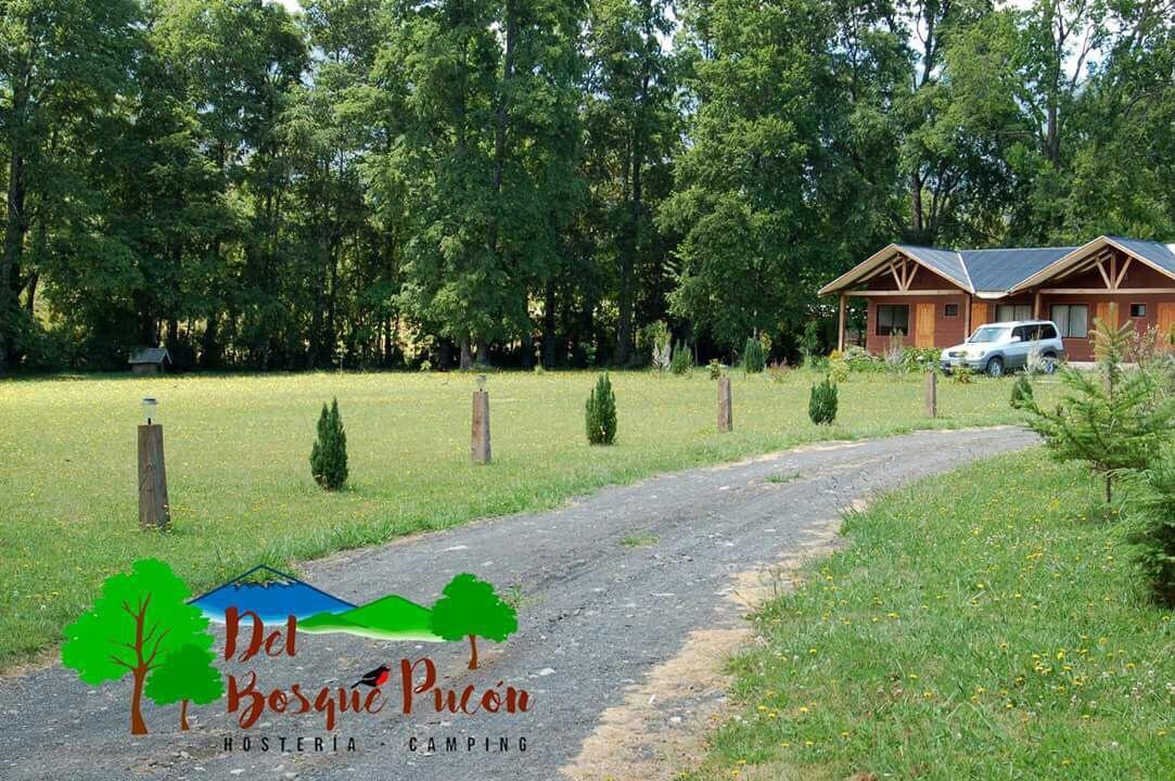 Hosteria Y Camping Del Bosque Pucón Exteriér fotografie